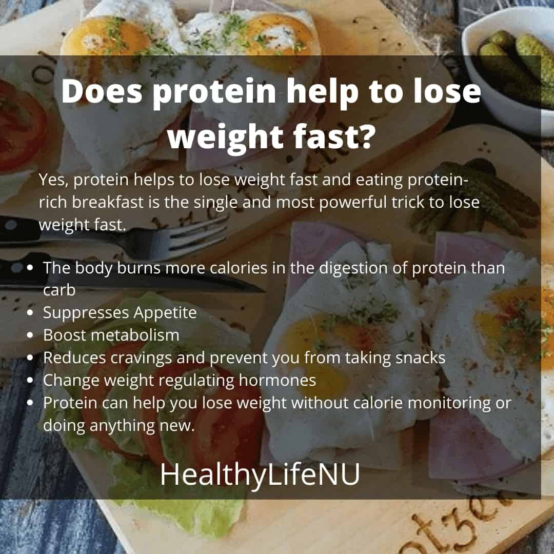Protein for Weight loss - A Guide - How Protein Helps to Lose Weight Fast?